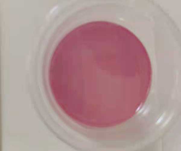 Unsaturated polyester resin